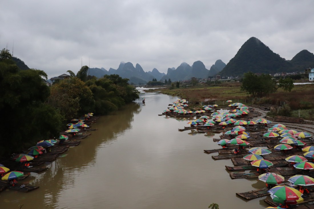 20181209074740_IMG_6605